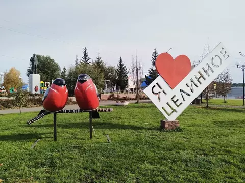 1-к кв. Алтайский край, Целинный район, с. Целинное Целинная ул., 12 ...