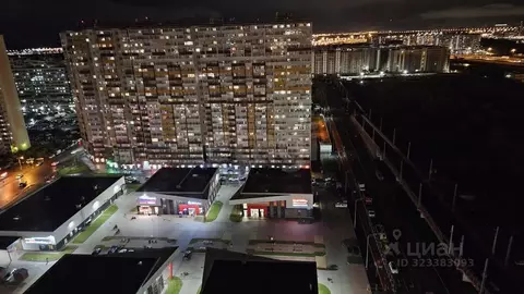 Студия Санкт-Петербург пос. Шушары, просп. Новгородский, 2к1 (29.0 м)