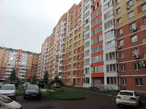 Студия Хакасия, Абакан ул. Маршала Жукова, 89 (28.0 м)