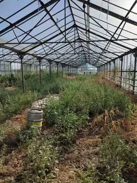 Производственное помещение в Адыгея, Красногвардейский район, ...