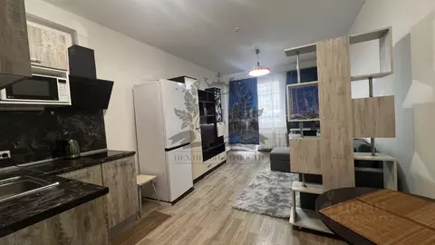 Студия Санкт-Петербург просп. Васнецовский, 20 (31.9 м)