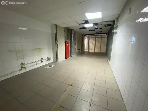 Помещение свободного назначения (33 м)