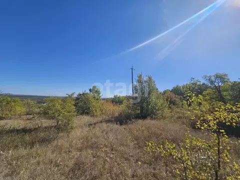 Участок в Воронежская область, Бобровский район, Никольское с/пос, ...