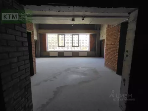 Помещение свободного назначения в Санкт-Петербург ул. Руднева, 16 (232 ...