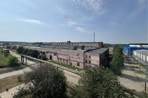 Производственное помещение в Свердловская область, Верхнее Дуброво пгт ...