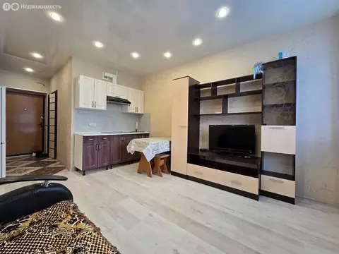 Квартира-студия: Засечное, Фонтанная улица, 11 (27.6 м)