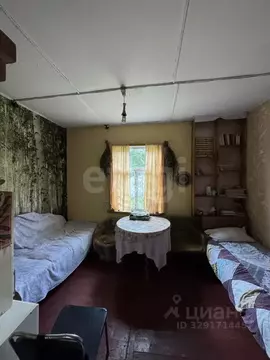 Дом в Брянская область, Сельцо  (40 м)