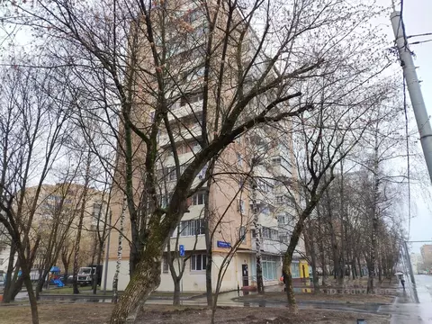 Помещение свободного назначения в Москва Первомайская ул., 56 (53 м)