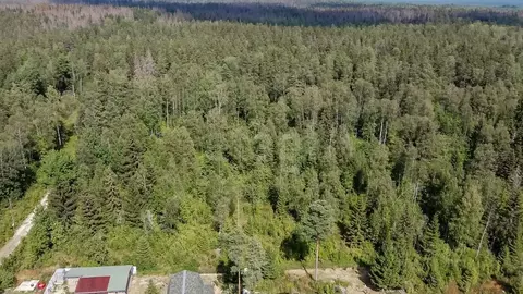 Участок в Ленинградская область, Всеволожский район, Куйвозовское ...