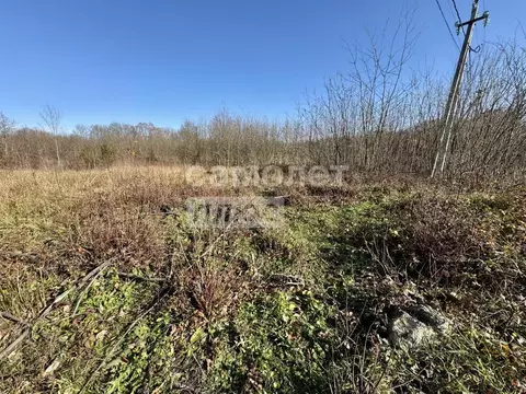 Участок в Краснодарский край, Апшеронский район, Новополянское с/пос, ...