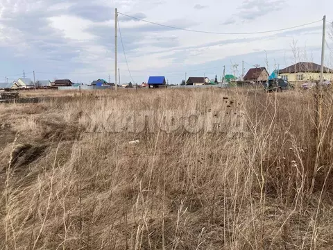 Участок в Новосибирская область, Коченевский район, Чик рп ул. ...