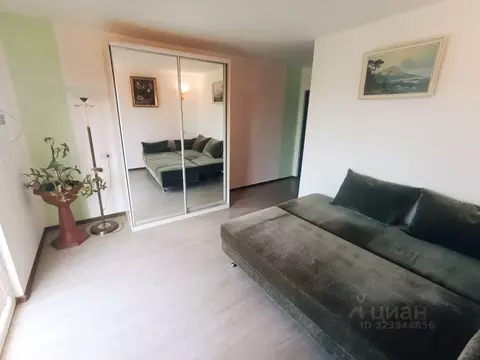 Студия Севастополь ш. Фиолентовское, 70/19 (20.0 м)