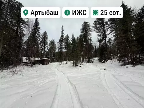 Участок в Алтай, Турочакский район 1 (25.0 сот.)