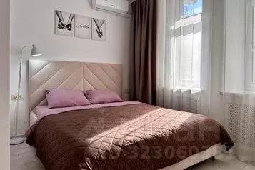 2-к кв. Татарстан, Казань Петербургская ул., 62 (64.0 м)