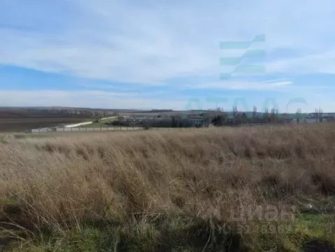 Участок в Крым, Симферопольский район 1 (16.0 сот.)