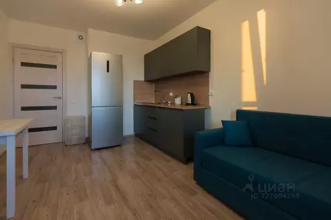 Студия Санкт-Петербург наб. Реки Каменки, 19к1 (18.0 м)