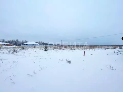 Участок в Тюменская область, Нижнетавдинский муниципальный округ, ...