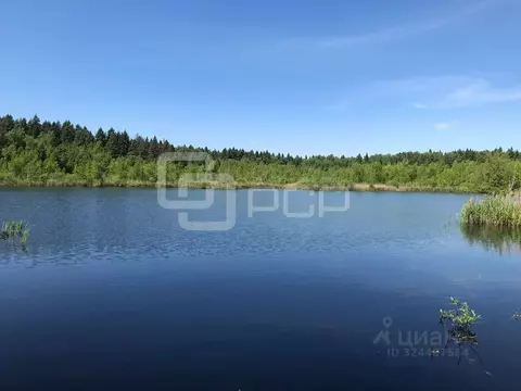 Участок в Московская область, Химки городской округ, д. Благовещенка  ...