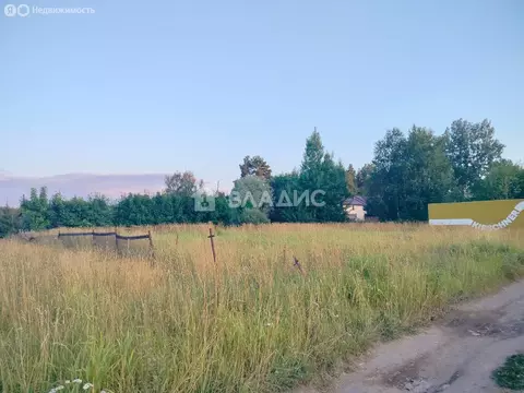 Участок в Заозерье, Лесная улица (15 м)