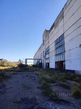 Помещение свободного назначения в Алтайский край, Яровое Предзаводская ...