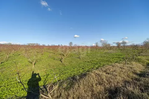 Участок в Крым, Бахчисарайский район, с. Долинное  (101.94 сот.)