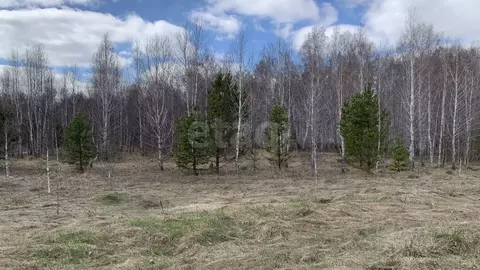 Участок в Челябинская область, Сосновский муниципальный округ, д. ...