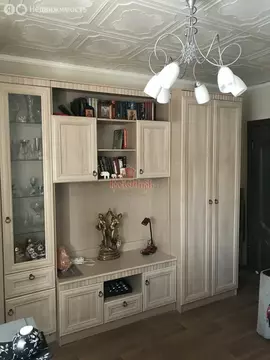 1-комнатная квартира: село Орудьево, Новая улица, 2 (27.9 м)