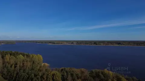 Участок в Ленинградская область, Выборгский район, Приморское ...