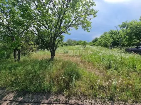 Участок в Белгородская область, Корочанский муниципальный округ, ...
