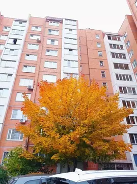 1-к кв. Санкт-Петербург просп. Косыгина, 33к1 (41.0 м)