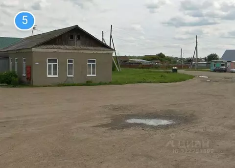 Участок в Курганская область, Катайский муниципальный округ, с. ...