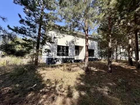 Дом в Воронежская область, Рамонский район, Новоживотинновское с/пос, ...