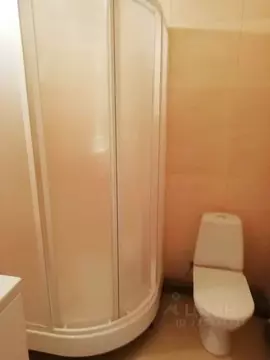 Студия Москва Покровская ул., 17к5 (23.0 м)