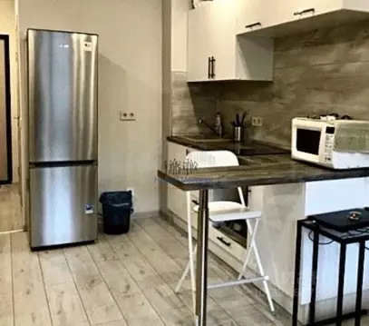 Студия Ленинградская область, Сертолово Всеволожский район, ул. ...