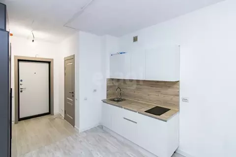 Студия Тюменская область, Тюмень ул. Мельникайте, 2к17 (24.9 м)