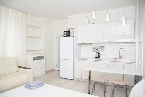 1-к кв. Новосибирская область, Новосибирск ул. Фрунзе, 49/2 (31.0 м)