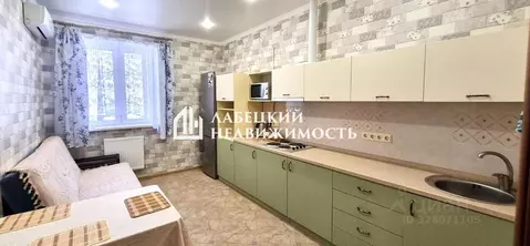 1-к кв. Краснодарский край, Краснодар Имени Петра Метальникова мкр, ...