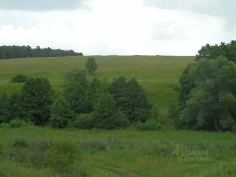 Участок в Тульская область, Алексин городской округ, д. Нижнее ...