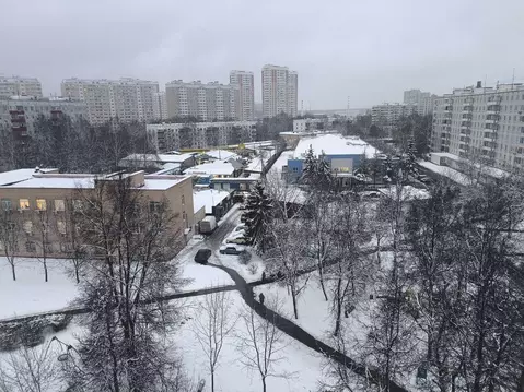 3-к кв. Москва, Москва, Московский г. 1-й мкр, 24 (70.0 м)