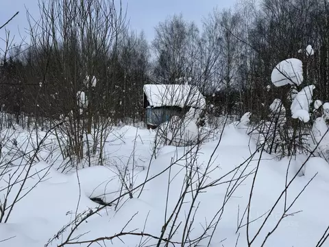 Участок в Владимирская область, Александровский муниципальный округ, ...