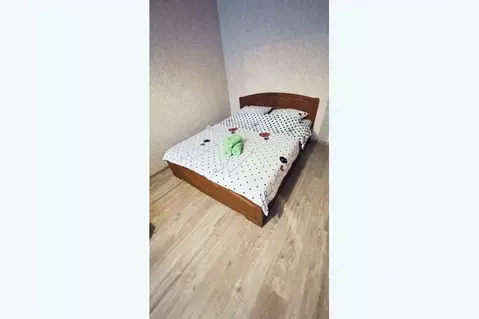 1-к кв. Московская область, Ногинск Богородский городской округ, ул. ...