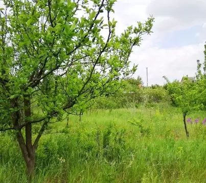 Участок в Ростовская область, Ростов-на-Дону 3-й Дамасский пер. (4.0 ...