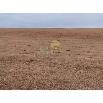 Участок в Иркутская область, Баяндаевский район, с. Тургеневка  (10.0 ...