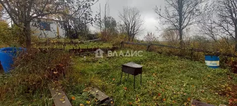 Участок в Владимирская область, Владимир сад Локомотив-1, 177 (3.3 ...