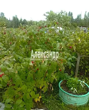 Участок в Ленинградская область, Выборгский район, Каменногорское ...