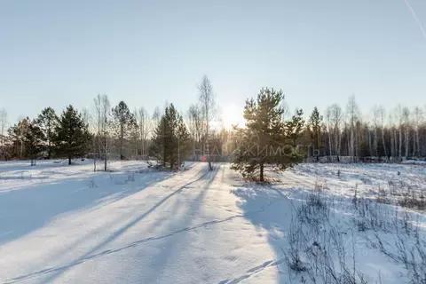 Участок в Тюменская область, Тюменский район, Янтарное ДНТ  (10.1 ...