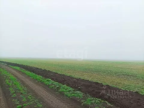 Участок в Крым, Ленинский район, с. Семисотка ул. Восточная (1064.2 ...