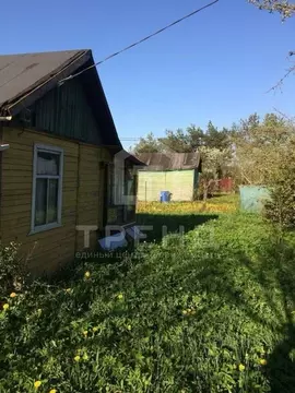 Участок в Санкт-Петербург Трансмаш СНТ, ул. Цветочная, 52 (5.0 сот.)