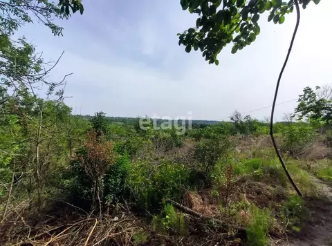 Участок в Ставропольский край, Ставрополь Калинка ДНТ,  (15.7 сот.)