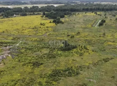 Участок в Калининградская область, Зеленоградский муниципальный округ, ...